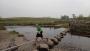 STEPPING STONES OVER RIVER LOWTHER STEPPING STONES OVER RIVER LOWTHER