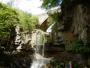 ASHGILL FORCE ASHGILL FORCE