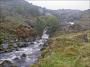 SWINDALE SWINDALE