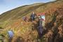 IN HAY GILL IN HAY GILL