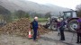 ANYONE FOR TURNIPS ANYONE FOR TURNIPS