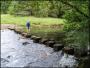 STEPPING STONES STEPPING STONES