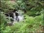 WATERFALL, QUARRY BECK WATERFALL, QUARRY BECK
