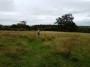CROSSING FIELDS BEYOND CUMWHINTON CROSSING FIELDS BEYOND CUMWHINTON