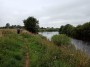 THE EDEN NEAR STONY HOLME THE EDEN NEAR STONY HOLME