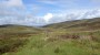 KING'S FOREST OF GELTSDALE KING'S FOREST OF GELTSDALE