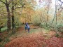LAZENCASTLE WOODS LAZENCASTLE WOODS