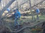 Obstacle Course! Obstacle Course!