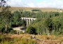 Lambley Viaduct seen from the east bank of the river Lambley Viaduct seen from the east bank of the river
