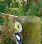 Having followed the Pennine Way for 200 meters we go left on the STT Having followed the Pennine Way for 200 meters we go left on the STT