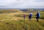 Descending towards Wythop Moss with Ling Fell, Sale Fell and Binsey visible Descending towards Wythop Moss with Ling Fell, Sale Fell and Binsey visible