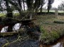 Powdonnet Well (Ancient sacred spring) with modern standing-stone Powdonnet Well (Ancient sacred spring) with modern standing-stone