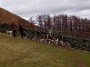 Hounds and stile near Gategill Hounds and stile near Gategill