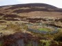 Circular sheepfold in the Glen