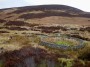 Circular sheepfold in the Glen Circular sheepfold in the Glen