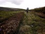 Old trackbed Old trackbed