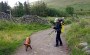 Porker and Walker at Nether Row on the Cumbria Way high-level route Porker and Walker at Nether Row on the Cumbria Way high-level route