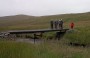 The bridge over Mosedale beck