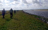 Alongside the Esk estuary Alongside the Esk estuary