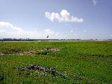 Approaching the Eden with the King Edward I monument visible in the distance (arrowed)
