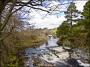  LOW FORCE TEESDALE