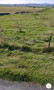 Castlehowe Stone Circle from the parking spot (credit: Google Earth) Castlehowe Stone Circle from the parking spot (credit: Google Earth)