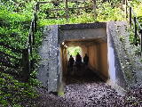 Subway under the A66 on the old Dandy line (Horse-drawn) Subway under the A66 on the old Dandy line (Horse-drawn)