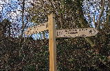 On the C2C National Trail at Greenriggs