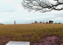 Long Meg and her female offspring