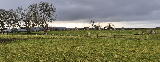 The stone circle looks better from a distance