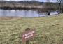 No kidding! - Back along the Eden to Lazonby Bridge No kidding! - Back along the Eden to Lazonby Bridge