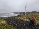 Robin Rigg wind farm was generating a lot of power today