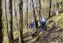 Dodd Wood traverse