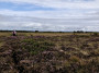 Bowness Common. A heathery section across to the RSPB reserve Bowness Common. A heathery section across to the RSPB reserve