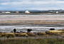 View across the Solway to the Scottish hills View across the Solway to the Scottish hills
