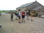 Surveying the farmyard Surveying the farmyard