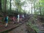 Up through the woods Up through the woods