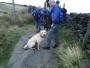 Bailey has a rest Bailey has a rest