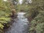 Wyre scene Wyre scene