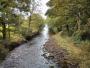 Wyre scene Wyre scene