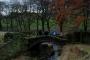 Pack Horse Bridge Pack Horse Bridge