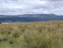 View of Pendle Hill