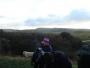 Winter Hill in the distance Winter Hill in the distance