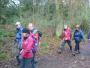 Off into the woods Off into the woods