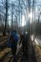 Through the woods Through the woods