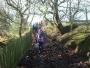The paths still look muddy The paths still look muddy