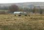 &nbsp;Goats in a field we passed