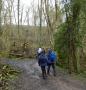 &nbsp;Off into the woods