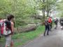 Away through the trees Away through the trees