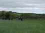 Nice walking through dry fields Nice walking through dry fields
